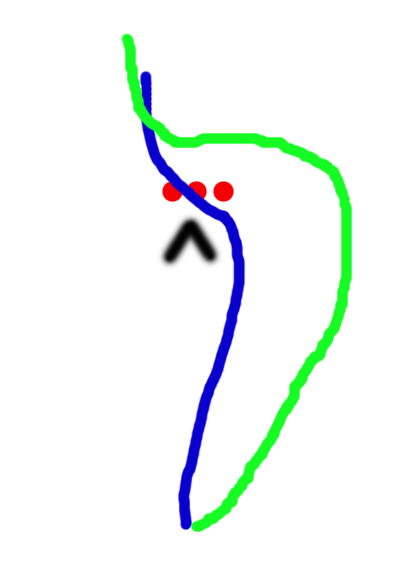 palatka.gif